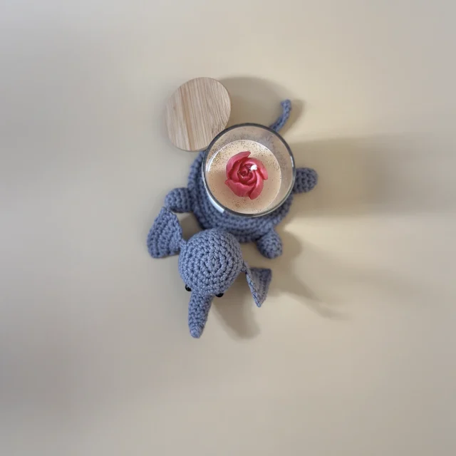 Elephant coaster